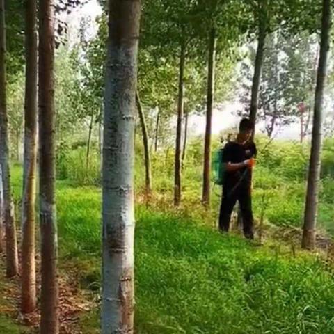 21机电1班感恩孝亲