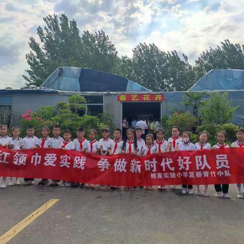 探寻花卉文化，参与种植实践--傅家实验小学夏骄青竹中队实践活动