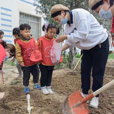 畅想春日 播种希望——长山头农场幼儿园“春耕、春种”主题活动