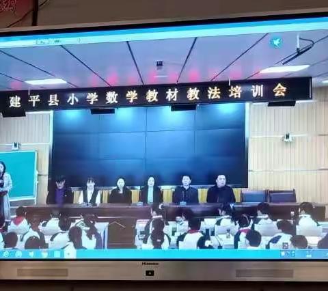 夯实基础，提质增效——小学数学教材教法培训心得体会