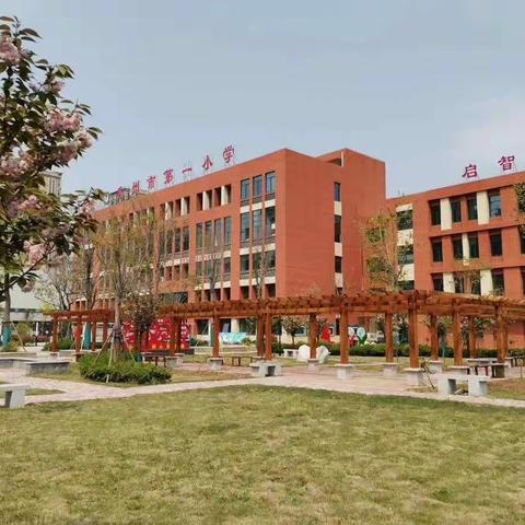 以“教育之心”为灯，在停课不停学中尽已所能