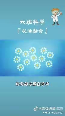 桦甸市向阳小学幼儿园大班——科学领域：《水油融合》小实验