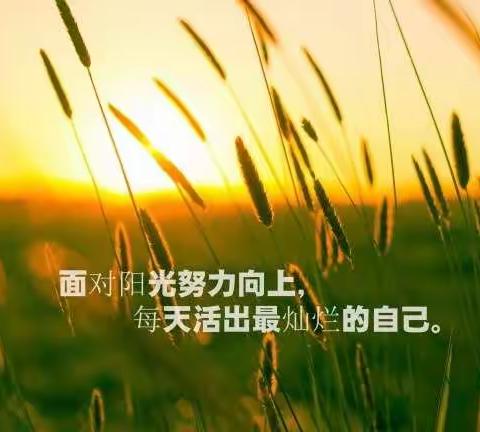 《   离校不离教   停课不停学    》  第二周