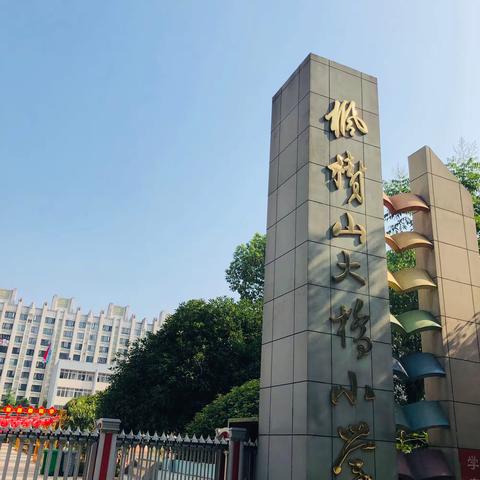2019枫树山大桥小学合唱团开课啦！