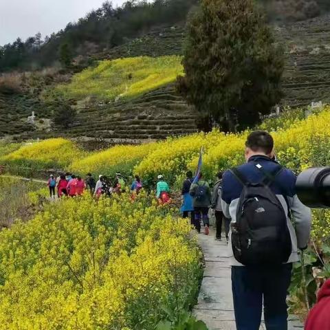 新安江蜘蛛肚文昌古道徒步一日游