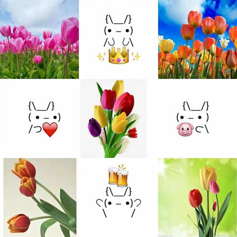 “情暖三月，最爱妈妈”牛顿班女神节活动