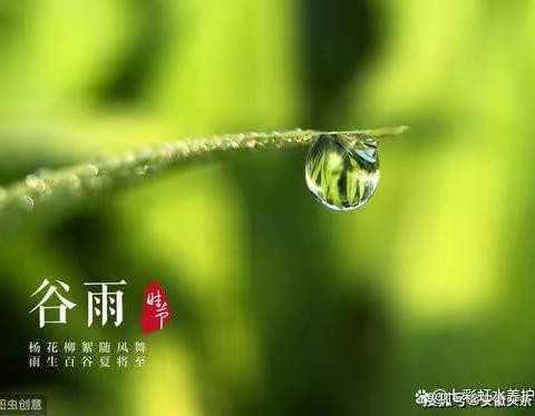 谷雨节气，宝宝护理注意这三点