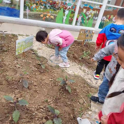 观察领域：科学