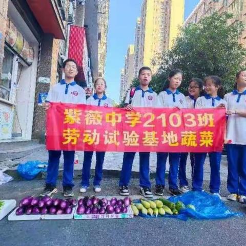 劳动励心智    实践知艰辛