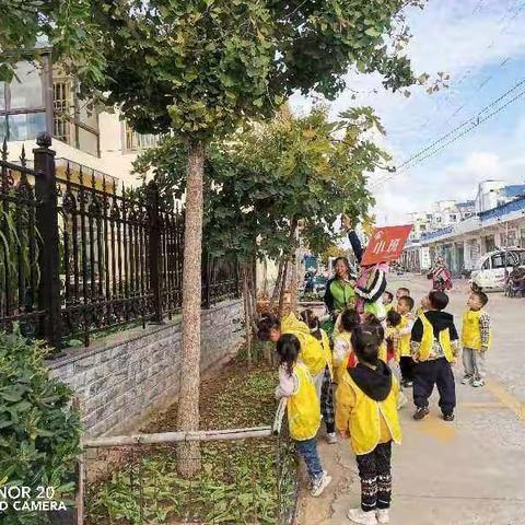 稚慧幼儿园一起“趣”秋游活动