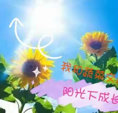 我和蔬菜交朋友——东营胜利第十二中学一年级三班综合实践活动
