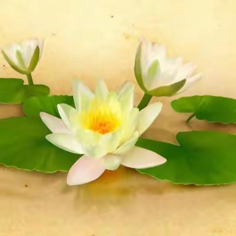 何为爱情？可否具体？可否再具体？