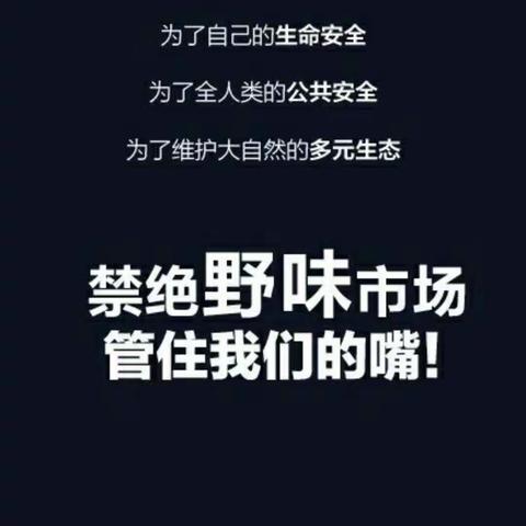 澴潭镇小育文雅学生  新冠肺炎启示录——拒绝食用野生动物