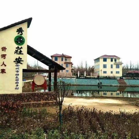 【乡村振兴】 港上镇庄安村