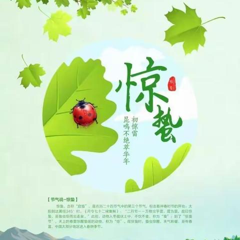 惊蛰节到闻雷声，震醒蛰伏越冬虫——南八村小学二十四节气之惊蛰综合实践活动