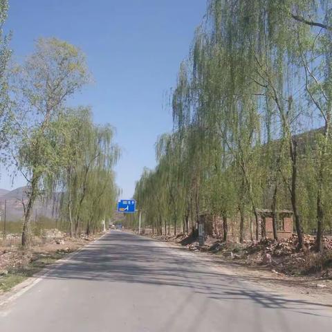 农村，农家。俺村，俺家。
