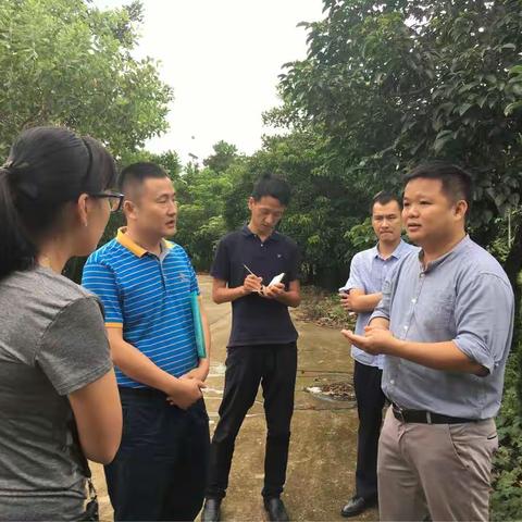 督查简讯|市委督查室及市“双十办”督查三娘公墓二期项目