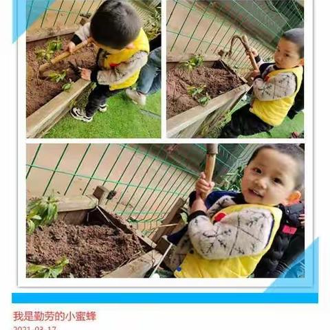 【佳苑幼儿园】――植树节主题教育实践活动