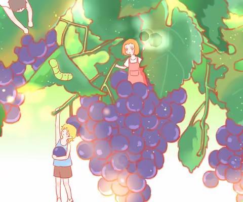 【三园】橙艳艳金秋月——我喜欢的葡萄🍇