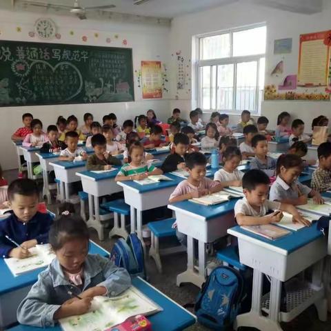 一17班的小书法家