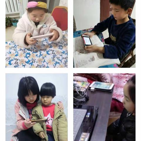 全体师生和家长网上学习田野律师讲座法律常识——净化网络空间