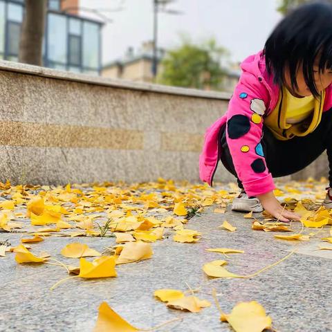 幼儿园，银杏下