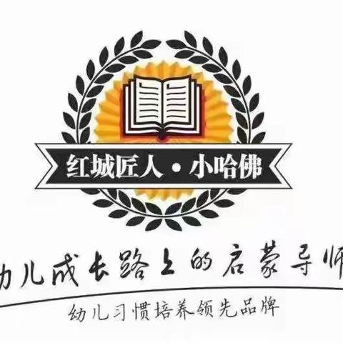 小哈佛/向日葵幼儿园中班11月第二周周计划