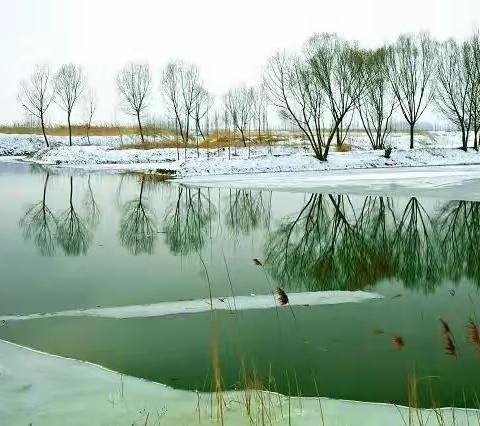 展青春风采  促高效课堂——奇台农场湖沿学校青年教师展示课活动