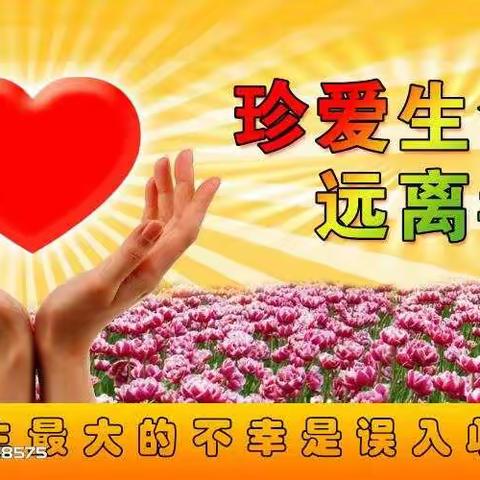 珍爱生命，远离毒品——记柳林县第五小学四二班的主题班会