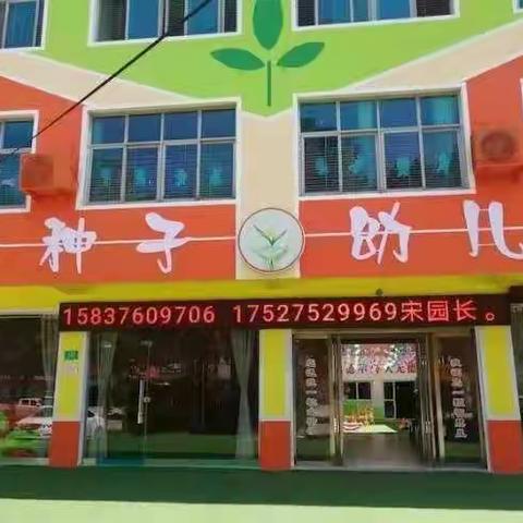 信阳市平桥区金种子幼儿园:宋伟的美篇