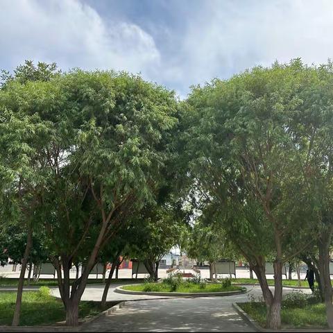 以梦为马、不负韶华