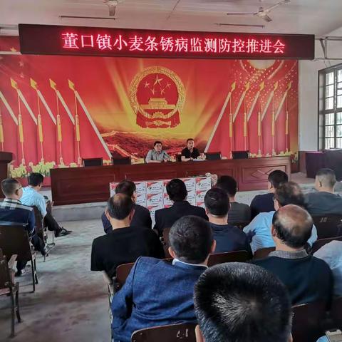 全力防控小麦条锈病 确保夏粮安全保丰收——董口镇防控小麦条锈病纪实