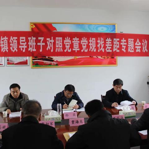 董口镇召开对照党章党规找差距专题会议