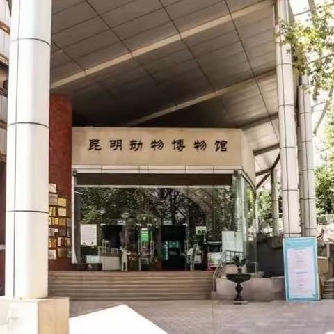 中共昆明市委机关幼儿园亲子德育活动————昆明动物博物馆