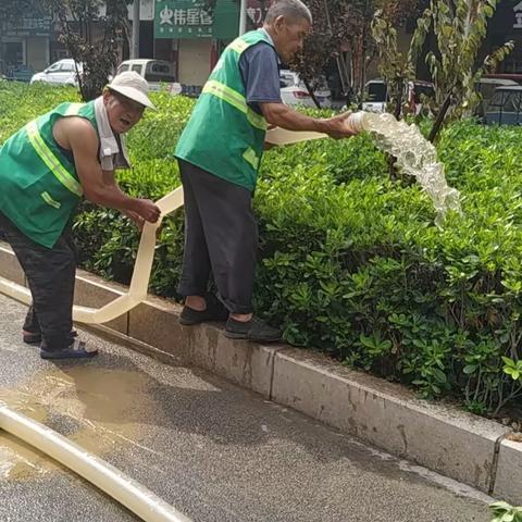 园林人坚守高温抗旱一线用汗水守护绿荫