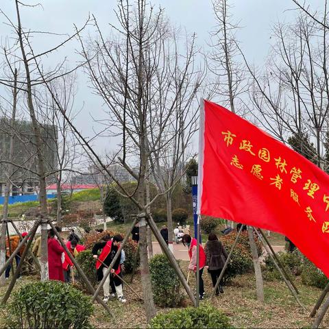 开展庆“三八”巾帼志愿者义务植树活动