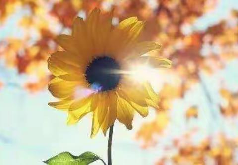 物业月度工作简报（中山七院管理处）