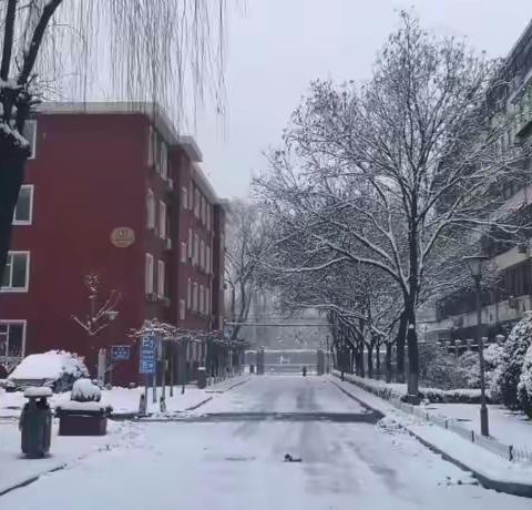 培训中心新年“初雪”到了～