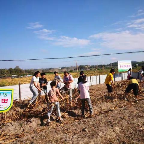 「"双减“在行动」快乐劳动基地，厚植劳动情怀——潭溪中心小学劳动基地实践活动报道