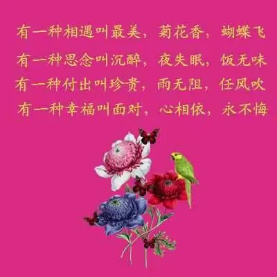 最美的祝福送给你