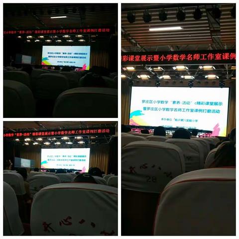 名师引领，砥砺前行