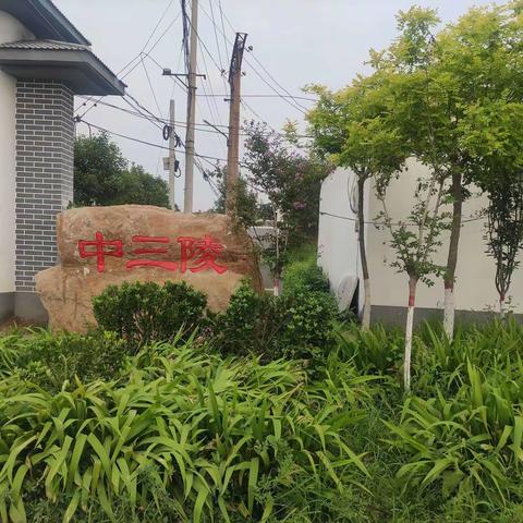 创建【文明城市】提升人居环境