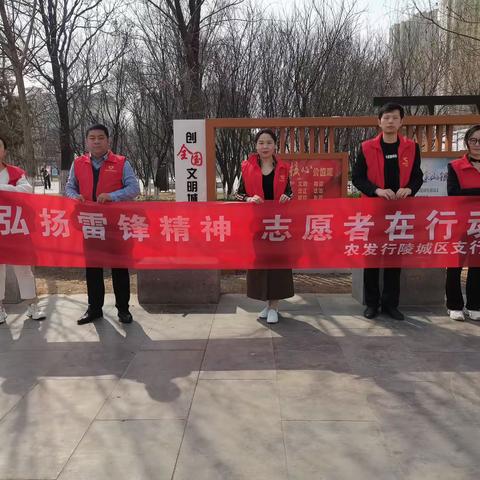 农发行德州市陵城区支行开展“弘扬雷峰精神，志愿者在行动”学雷锋志愿者活动