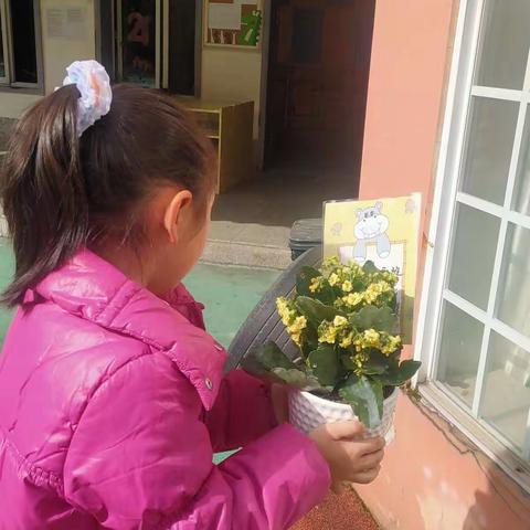 美篇用户的美篇