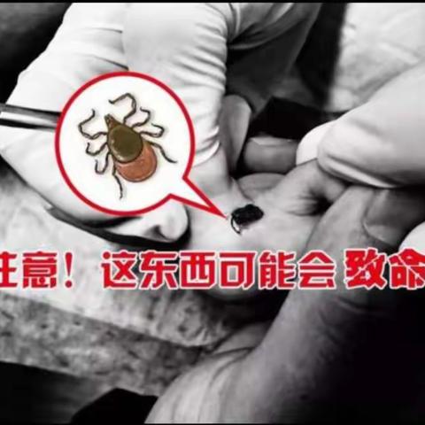 红蜻蜓育才幼儿园—宝宝夏日“敌人”不止蚊子,蜱虫同样需要注意