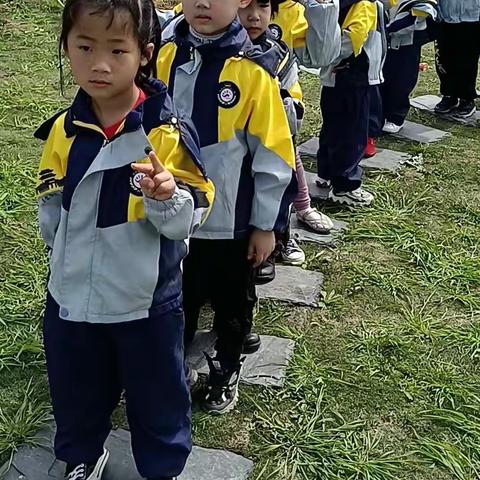 钱库阳光幼儿园大二班“欣赏油菜花”主题活动