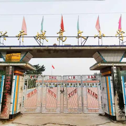 兴开城高文小学一年级新生招生简章