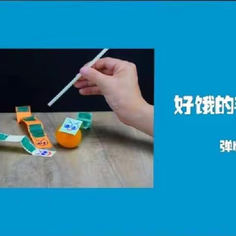 会动的毛毛虫——胜利中路小学生命化课程科学课