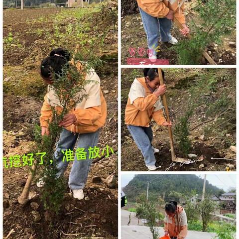 植树节|共同种下人类“氧吧”