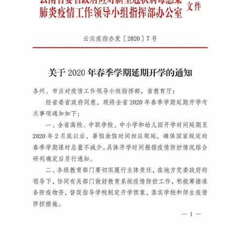 元阳县尼枯补幼儿园2020年春季学期延期开学通知